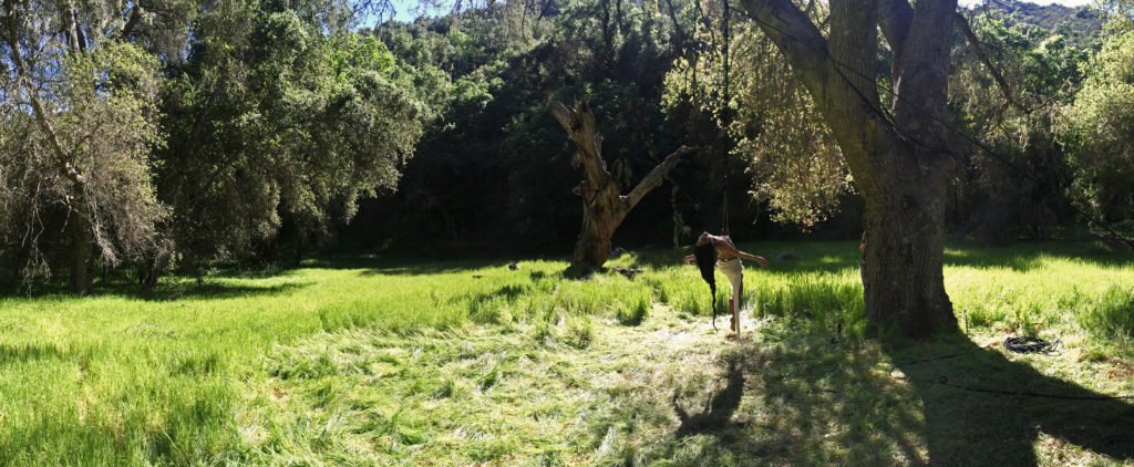 Ascension Rite – Restriction