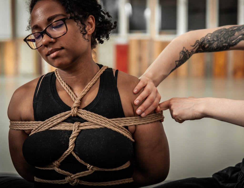 Learning Harnesses for Beginners