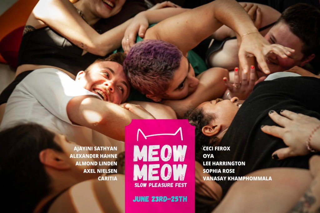 Meow Meow – Slow Pleasure Fest