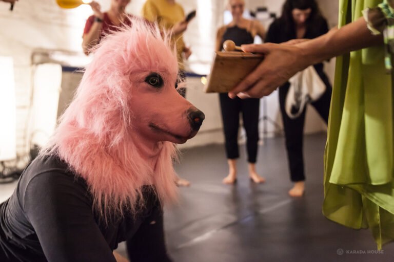 Person in pink poodle costume indoors